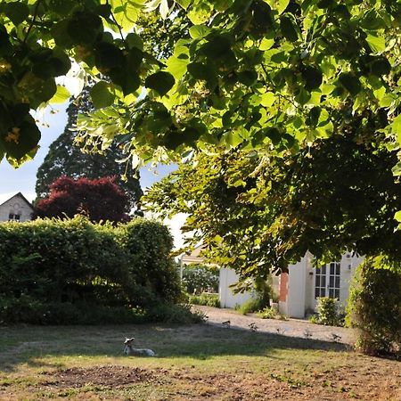 La Petite Bijouterie - Gite 5 Personnes Villa Brain-sur-Allonnes Exterior photo