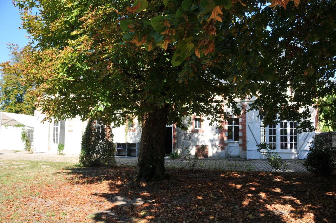 La Petite Bijouterie - Gite 5 Personnes Villa Brain-sur-Allonnes Exterior photo