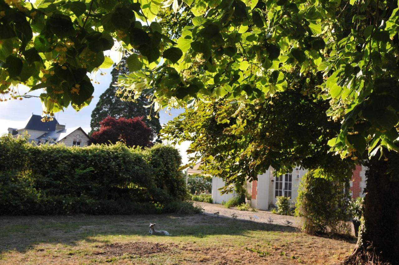 La Petite Bijouterie - Gite 5 Personnes Villa Brain-sur-Allonnes Exterior photo